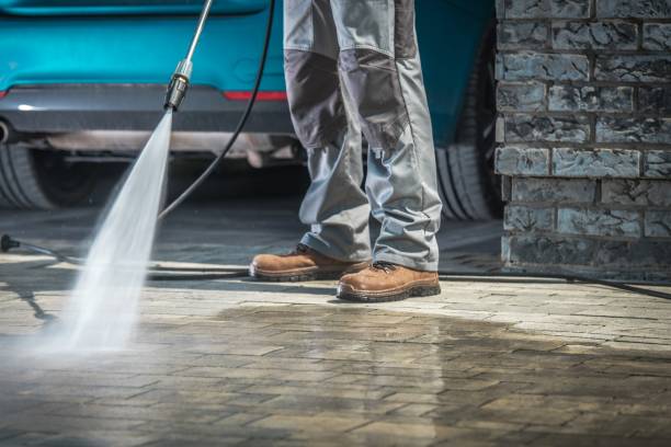 Professional Pressure Washing Services in Oriole Beach, FL